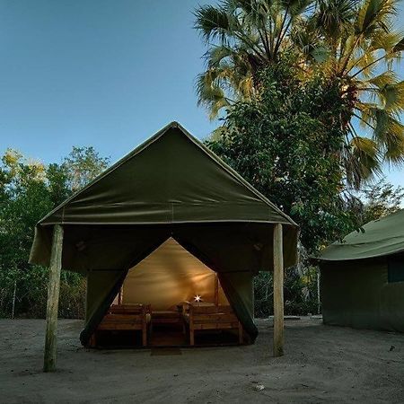 Hotel Motsebe Backpackers Maun Exterior foto