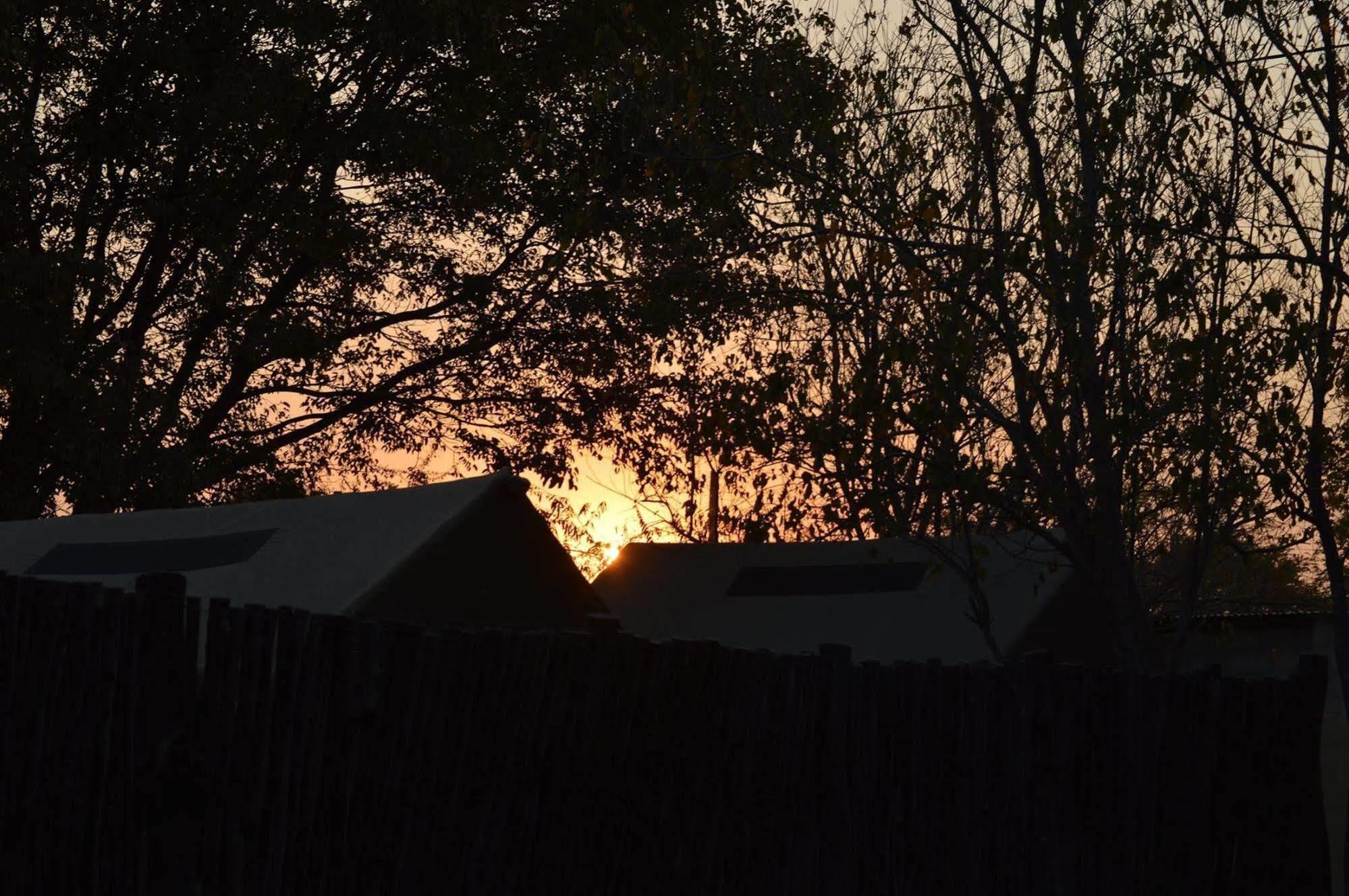 Hotel Motsebe Backpackers Maun Exterior foto