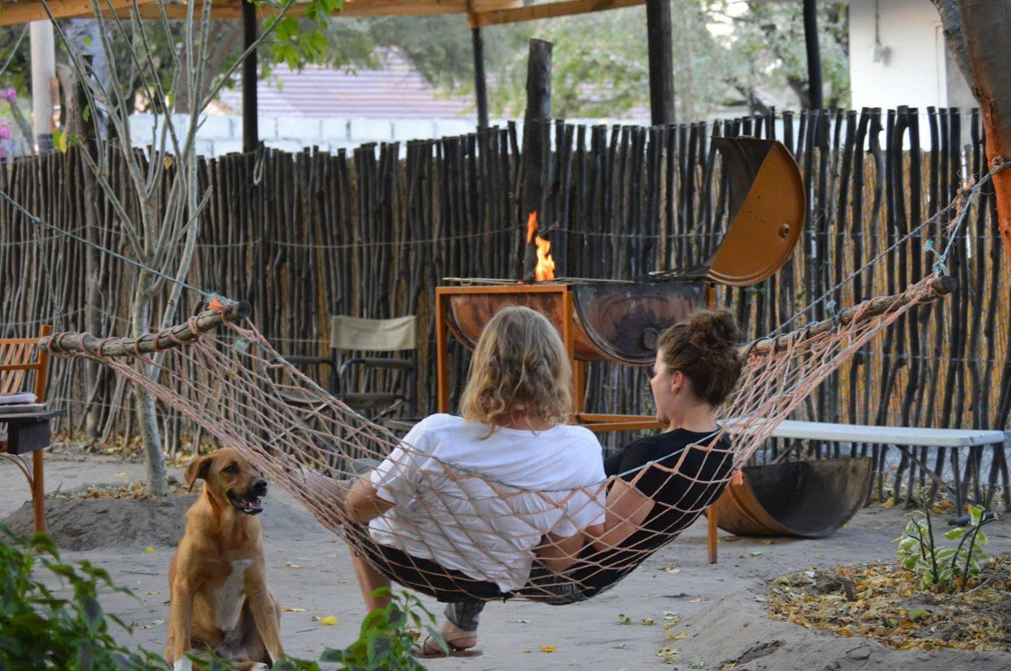 Hotel Motsebe Backpackers Maun Exterior foto